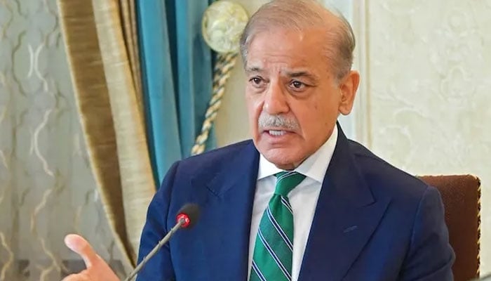 بھارت 24 کروڑ پاکستانیوں کا پانی روکنا چاہتا ہے جو کبھی نہیں ہو پائے گا: وزیراعظم
