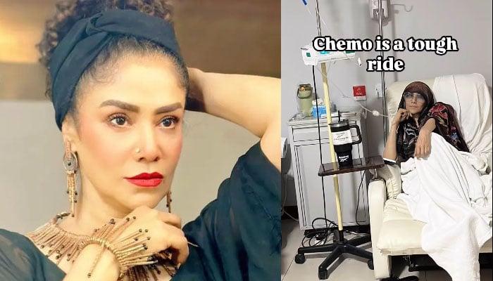ایک دن، ایک سانس اور ایک دل کی دھڑکن: کینسر میں مبتلا اداکارہ انجلین ملک کی جذباتی پوسٹ