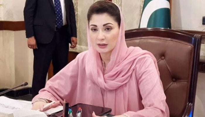 غیر قانونی ہاؤسنگ اسکیموں کو ایمنسٹی دینے پر غور کرنا ہوگا: وزیر اعلیٰ پنجاب