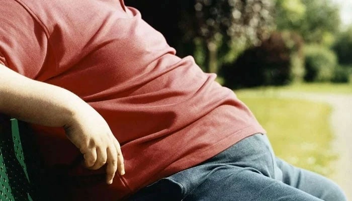 ناشتے میں اس غذا کا استعمال موٹاپے سے نجات دلانے میں مددگار