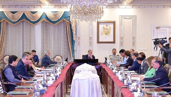 وزیراعظم نے دیامر بھاشا ڈیم منصوبہ جلد از جلد مکمل کرنے کی ہدایت کردی