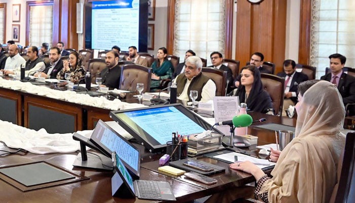 حکومت پنجاب کا بجلی کے بلوں میں کمی کیلئے صوبے کی پاور کمپنیوں کا ٹیرف کم کرنے کا اعلان