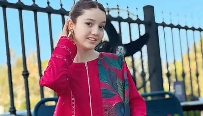 ٹک ٹاکر ثناء یوسف کو قتل کیوں کیا؟ گرفتار ملزم نے اعتراف جرم کرلیا