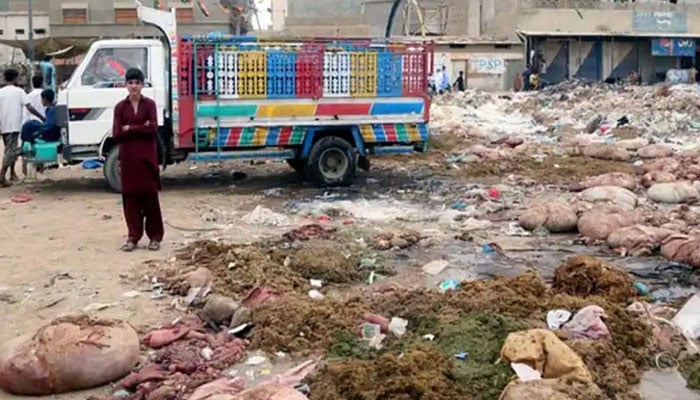 ڈمپرز ایسوسی ایشن کا عیدالاضحیٰ پر کراچی سے آلائشیں نہ اٹھانے کا اعلان
