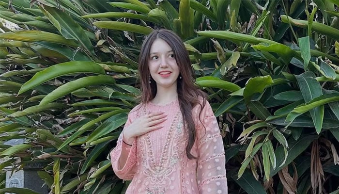 ٹک ٹاکر ثنا قتل کیس، مرکزی ملزم 14 روزہ ریمانڈ پر جیل منتقل