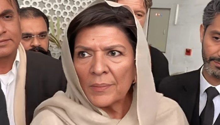 عمران خان سےحکومت کو قبول کرنے اور 9 مئی پر معافی مانگنے کا کہا جا رہا ہے: علیمہ خان