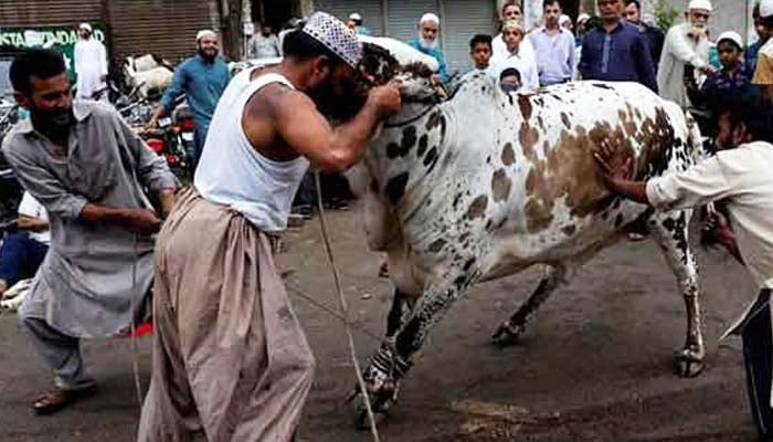 میٹ مرچنٹس نے بقرعید پر جانور ذبح کرنے کی ریٹ لسٹ جاری کردی