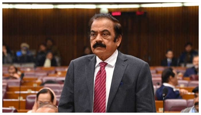 پی ٹی آئی جو تحریک شروع کرنے جارہی ہے ان کو اس سے کچھ نہیں ملےگا: رانا ثنا