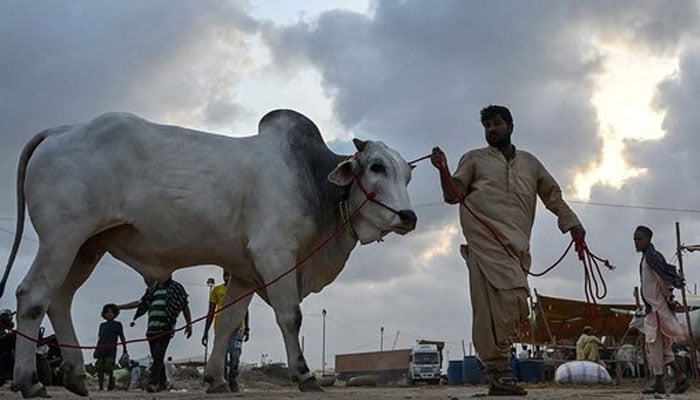 کراچی :  عید الاضحٰی کے دوسرے روز موسم کیسا رہے گا؟ محکمہ موسمیات نے پیشگوئی کردی