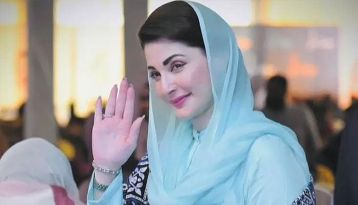 مختصر وقت میں صفائی کا بہترین ریکارڈ، وزیر اعلیٰ پنجاب کا صفائی مہم پر اظہار اطمینان