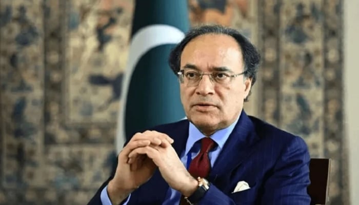 بجٹ میں ایسے اقدامات کررہے ہیں جس سے ملک آگے بڑھے گا، وزیر خزانہ