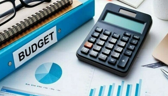 بجٹ 26-2025: قرضوں پر سودکی ادائیگی کے لیے8207 ارب اور دفاع کیلئے 2550 ارب روپے مختص کرنےکی تجویز