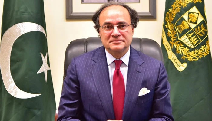 جن علاقوں میں بجلی کا بل نہیں بھرا جاتا وہاں لوڈشیڈنگ ہوتی رہے گی: وزیر خزانہ