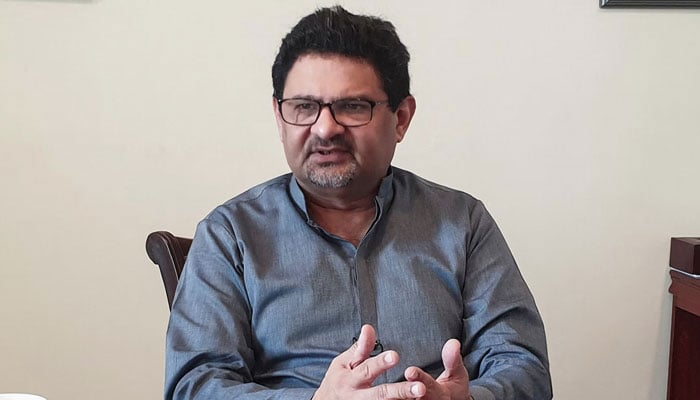 بجٹ میں تنخواہ دار طبقےکو تھوڑا ہی سہی لیکن ریلیف ملا ہے: مفتاح اسماعیل