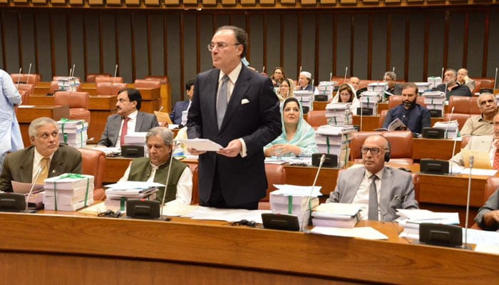 سینیٹ میں بھی بجٹ پیش، سفارشات کیلئے قائمہ کمیٹی کے سپرد