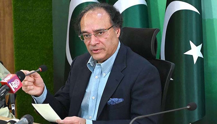 بجٹ میں نچلے اور تنخواہ دار طبقے کو جتنا ریلیف دے سکتے تھے دیا ہے: وزیرخزانہ