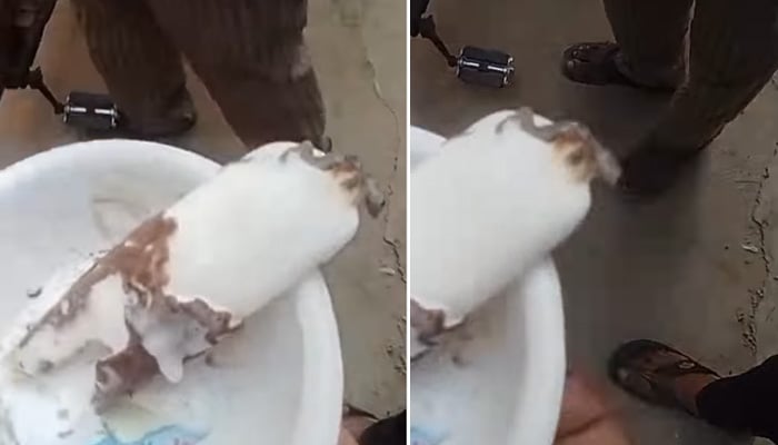 7 سالہ بچے کی آئسکریم سے چھپکلی نکل آئی