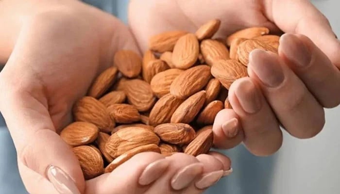 روزانہ کچھ مقدار میں بادام کھانے کا بہترین فائدہ دریافت