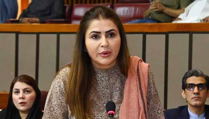 پیپلز پارٹی نے سولر پینل پر عائد ٹیکس کو مسترد کردیا