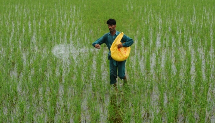 پنجاب: کسانوں کے ترقیاتی فنڈ کی 20 ارب روپے سے زائد رقم روکے جانے کا انکشاف
