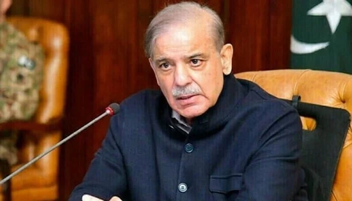 وزیراعظم شہباز شریف کا بھارت میں طیارہ حادثے پر افسوس کا اظہار