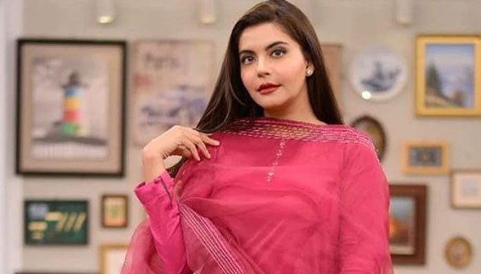 ندا یاسر کو میزبانی کا شوق کسے دیکھ کر ہوا؟
