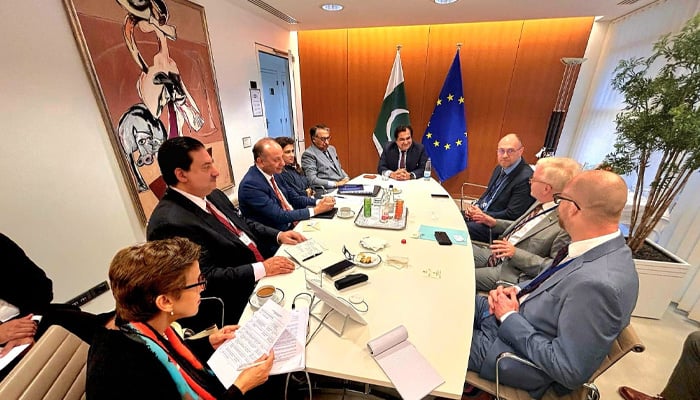 یورپی پارلیمنٹ نے پاک بھارت امن کیلئے کردار ادا کرنے پر آمادگی ظاہر کردی