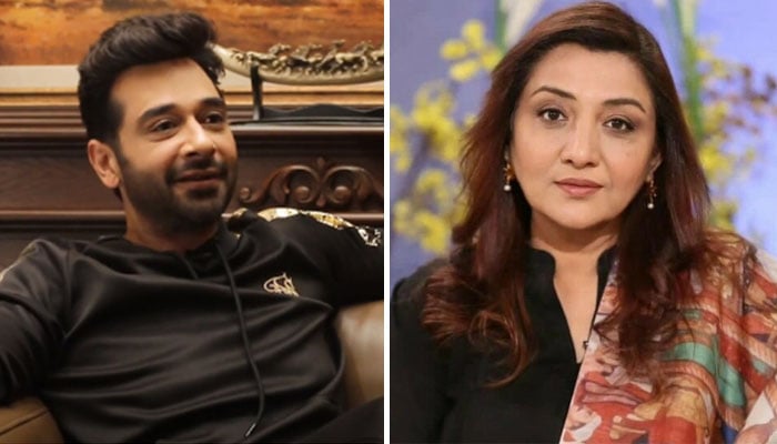 نادیہ افگن کی فیصل قریشی کی انگریزی پر تنقید، اداکار چپ نہ رہ سکے