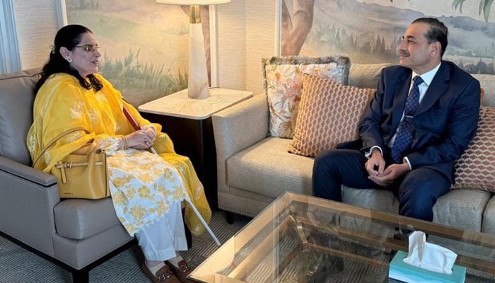 فیلڈ مارشل عاصم منیر کی اقوام متحدہ میں پاکستانی مشن کی رکن صائمہ سلیم سے ملاقات
