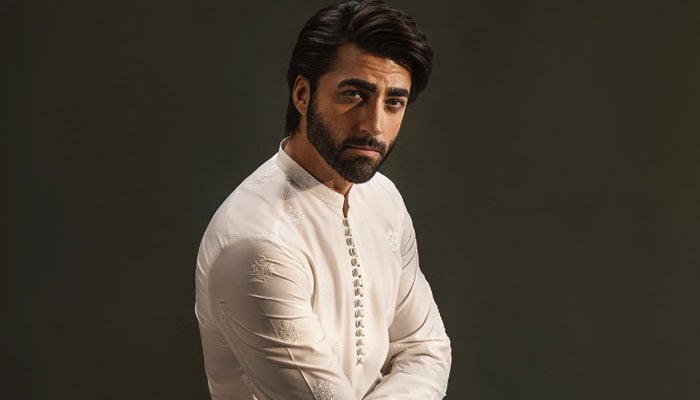 اداکار نمیر خان کی ڈریم گرل کون ہے؟