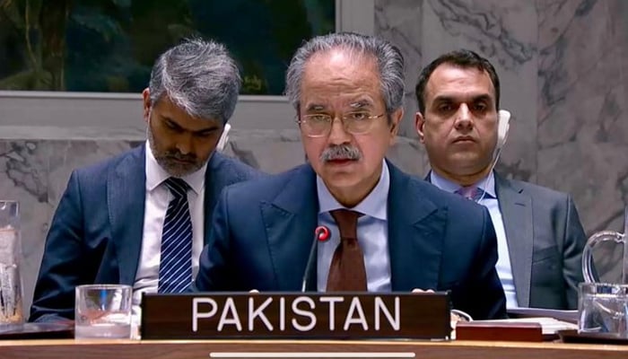 سکیورٹی کونسل ایران اور اسرائیل کے درمیان سیز فائر کیلئے اپنا کردار ادا کرے: پاکستان