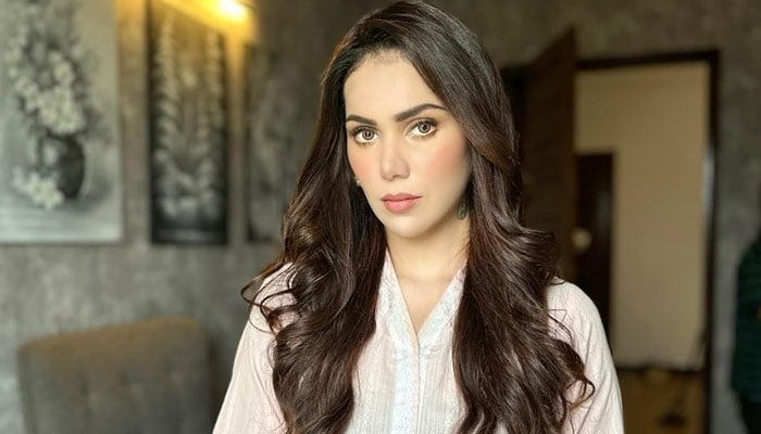اداکاری میں کوئی کرئیر نہیں، اداکارہ غنیٰ علی