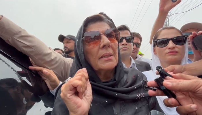 ’میرا خیال ہے مائنس عمران خان ہی ہوگیا ہے‘: علیمہ خان