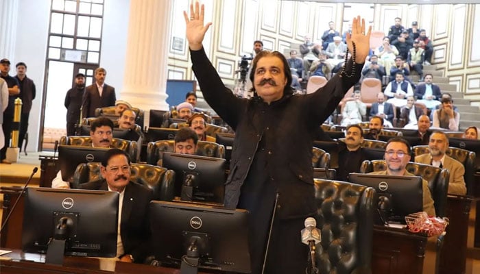 کے پی اسمبلی نے علی امین کی عمران خان سے ملاقات کے بغیر ہی بجٹ منظور کرلیا