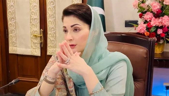محرم میں سوشل میڈیا پر نفرت انگیز مواد پھیلانے والوں کو فوری گرفتار کریں، وزیراعلیٰ پنجاب کا حکم