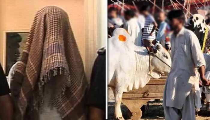 کراچی: عید الاضحیٰ کے موقع پر مویشی چھیننے والے گروہ کا سرغنہ گرفتار