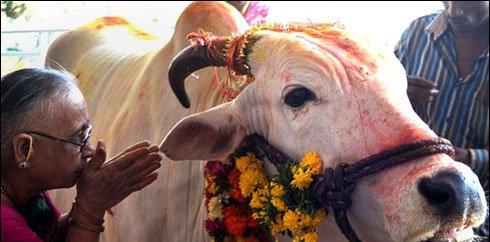 بھارت، گائے کا گوشت کھانے کے شبہے میں مسلمان جوڑے پر تشدد