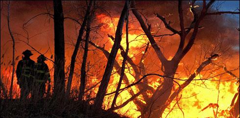 ارجنٹینا کے جنگلات میں آگ، 16 سو ہیکٹر رقبہ جل کر راکھ 