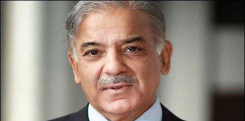 نیشنل ایکشن پلان پر عملدرآمد کیا جا رہا ہے،شہباز شریف 