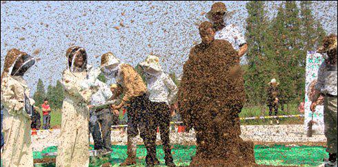 چینی نوجوان کا جسم پر 6لاکھ37ہزارشہد کی مکھیاں بٹھا نے کا عالمی ریکارڈ