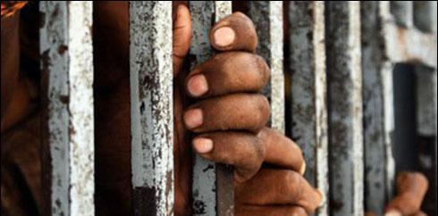 پشاورپولیس کا سرچ آپریشن، 46 مشتبہ افراد زیر حراست، اسلحہ برآمد