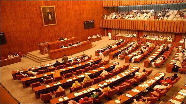 عنبرین قتل کیس، سینیٹ کمیٹی میں پولیس رپورٹ پیش
