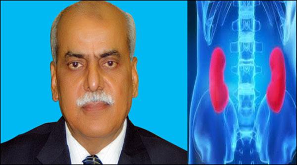 پاکستان میں 20 فیصد لوگ گردوں کے امرض میں مبتلا