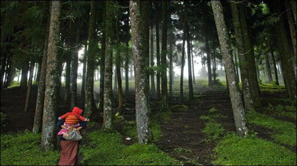 بھوٹان نے ماحولیاتی آلودگی پر قابو پانے کا وعدہ پورا کر دکھایا