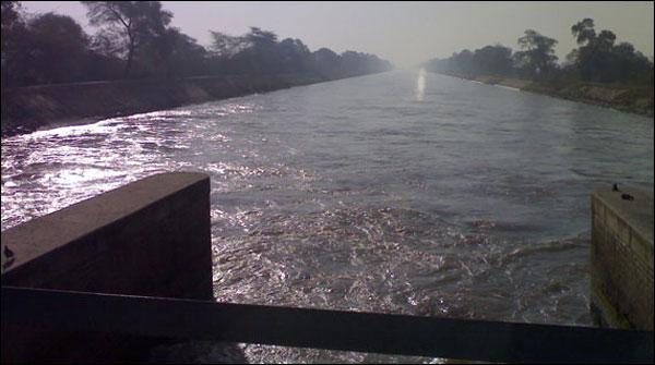 شرط لگا کر نہر میں کودنے والا زندگی کی بازی ہار گیا