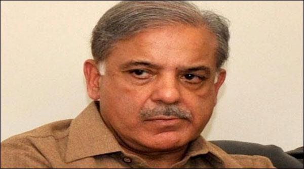 ضربِ عضب نے دہشت گردوں کی کمر توڑ دی ہے ، شہبازشریف