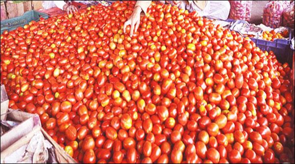 کراچی میں ٹماٹر کی قیمتوں کو پر لگ گئے