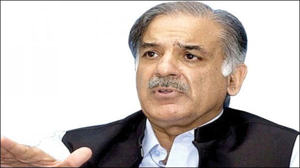 سرمایہ کاروں کو ہرممکن سہولتیں دے رہے ہیں ، شہباز شریف