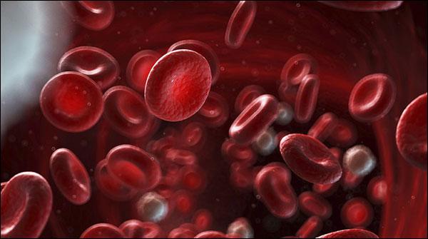 انسانوں سے جانوروں کو لگنے والی جان لیوا بیماریاں