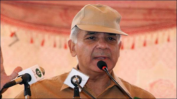 ملکی ترقی کے لیے بےپناہ محنت سے کام کیا ہے، شہباز شریف
